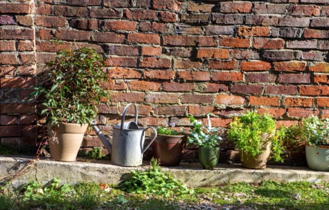 Bridport Garden Suite エクステリア 写真
